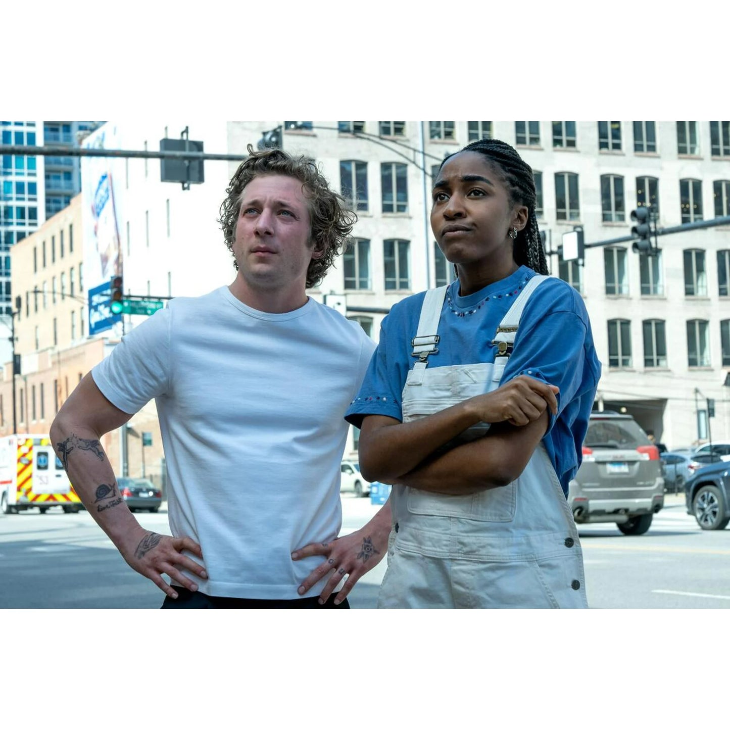 The Bear Complete Series DVD | Seasons 1-4 English Drama TV Show Collection