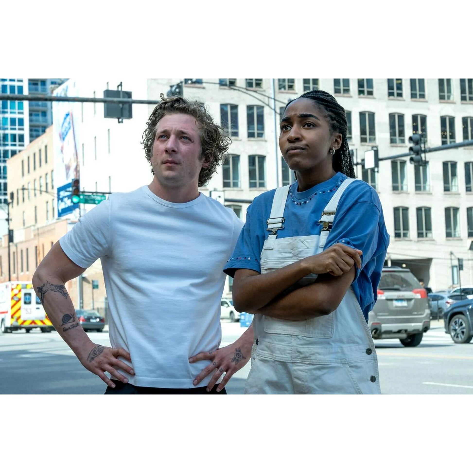 The Bear Complete Series DVD | Seasons 1-4 English Drama TV Show Collection