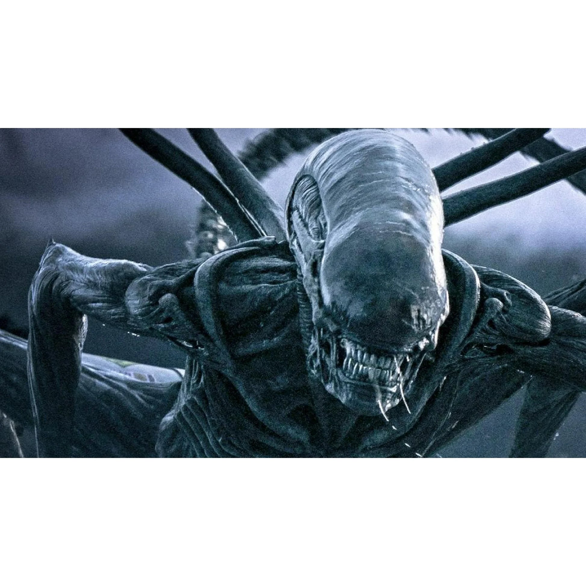 Alien 6-Film Collection Blu-ray | Complete Sci-Fi Movie Series Box Set
