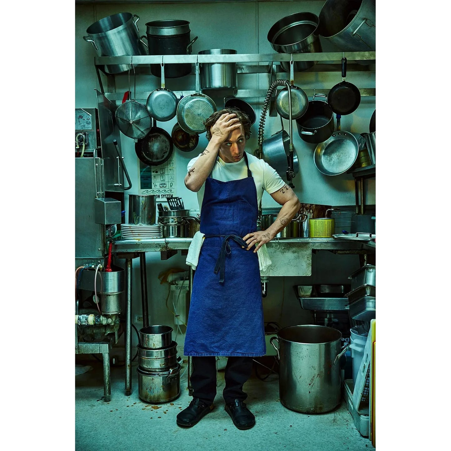 The Bear Complete Series DVD | Seasons 1-4 English Drama TV Show Collection